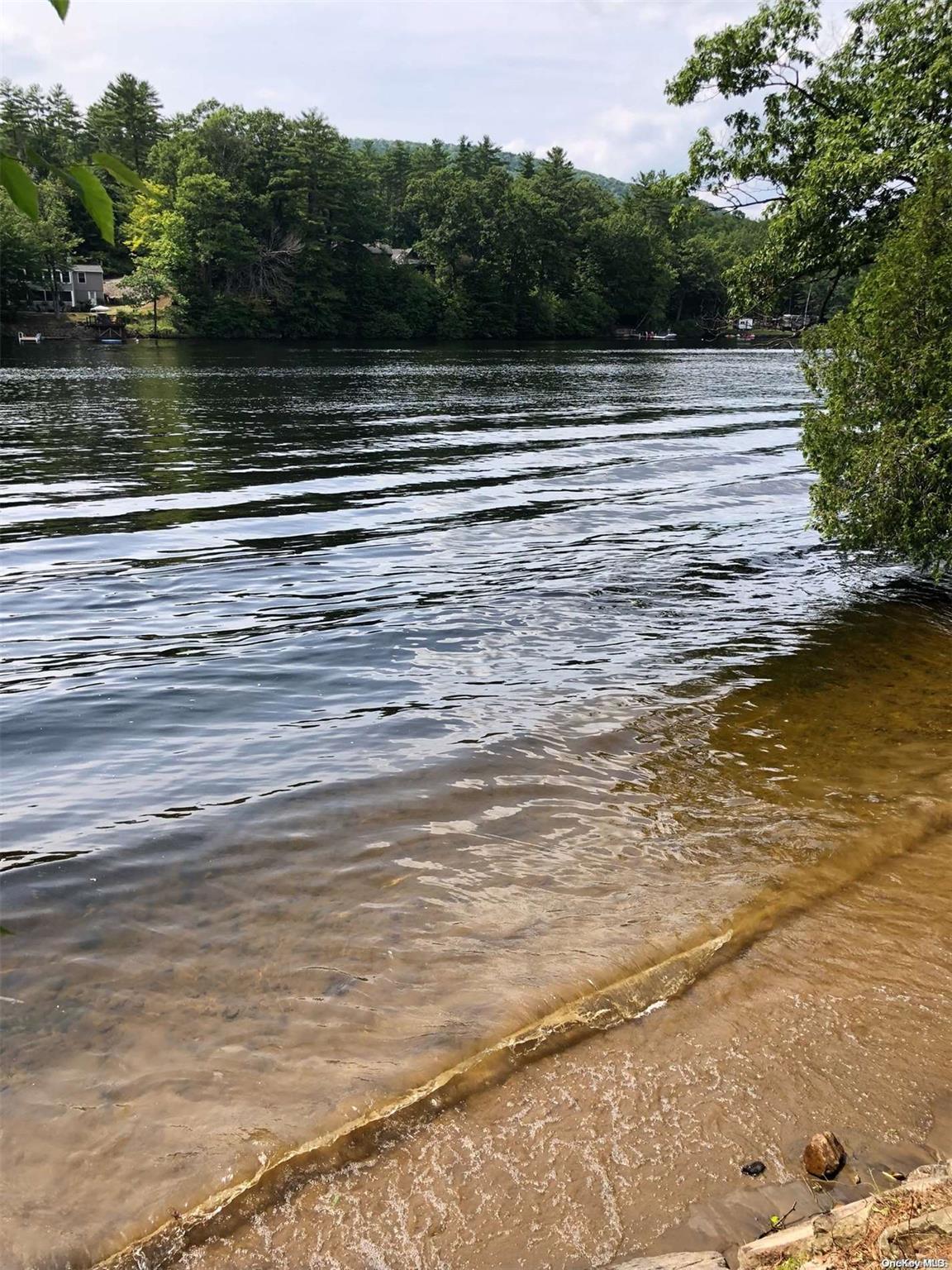 L20 White Birch Drive Out of NYC Call Listing Agent, NY 12846