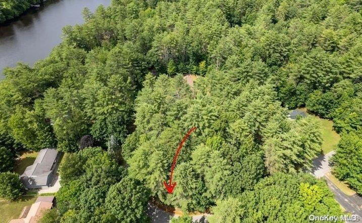 L20 White Birch Drive Out of NYC Call Listing Agent, NY 12846