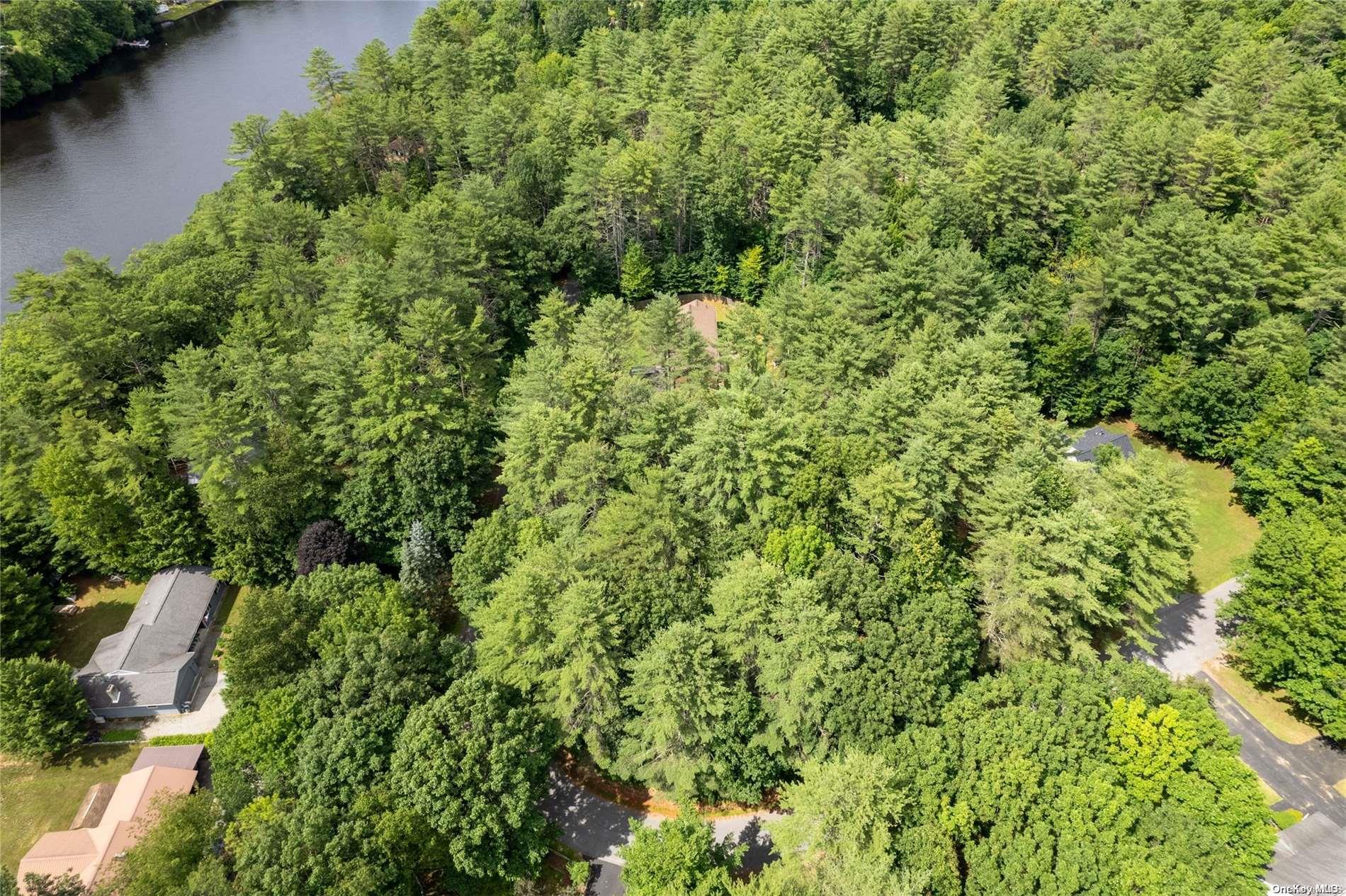 L20 White Birch Drive Out of NYC Call Listing Agent, NY 12846