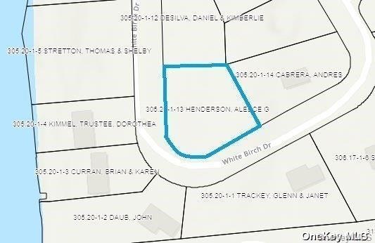 L20 White Birch Drive Out of NYC Call Listing Agent, NY 12846