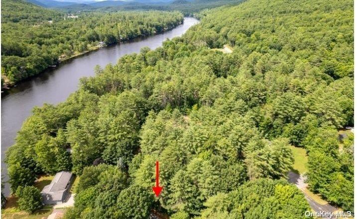 L20 White Birch Drive Out of NYC Call Listing Agent, NY 12846