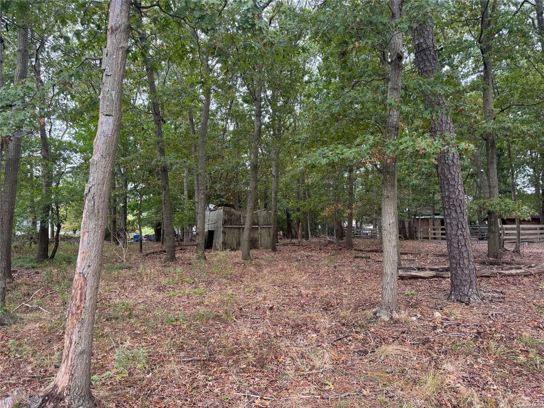 77 Lincoln Road Medford Medford, NY 11763