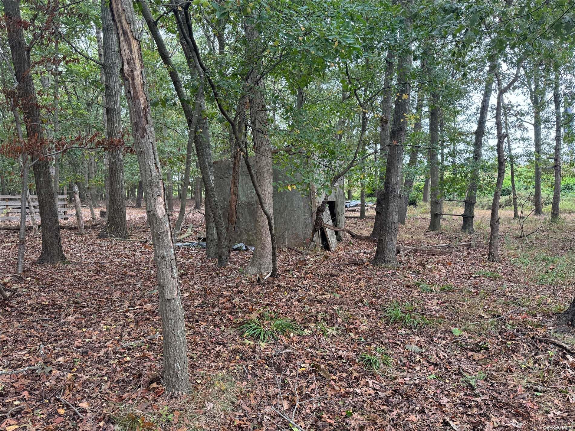 77 Lincoln Road Medford Medford, NY 11763