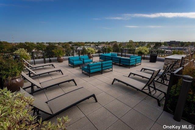 116 Searing Avenue PH410 Mineola Mineola, NY 11501