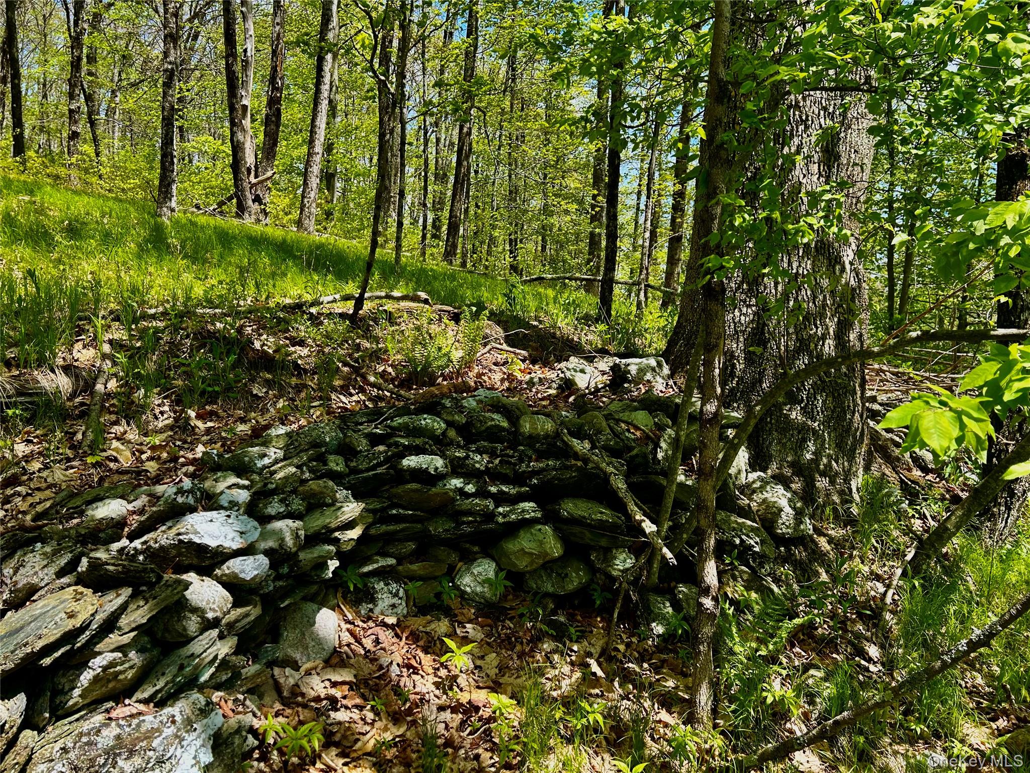 00 Dugway Out of NYC Austerlitz, NY 12017