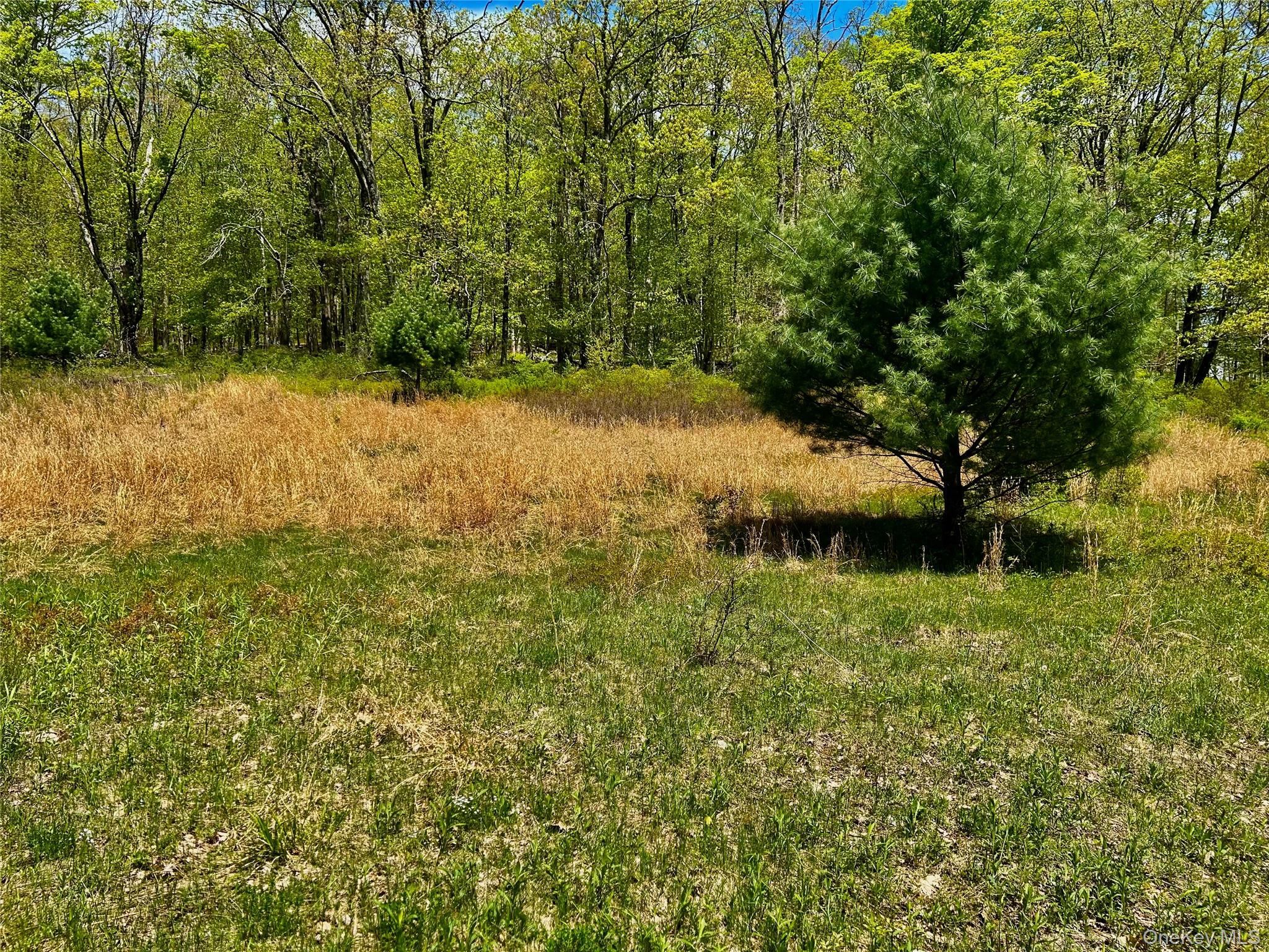 00 Dugway Out of NYC Austerlitz, NY 12017