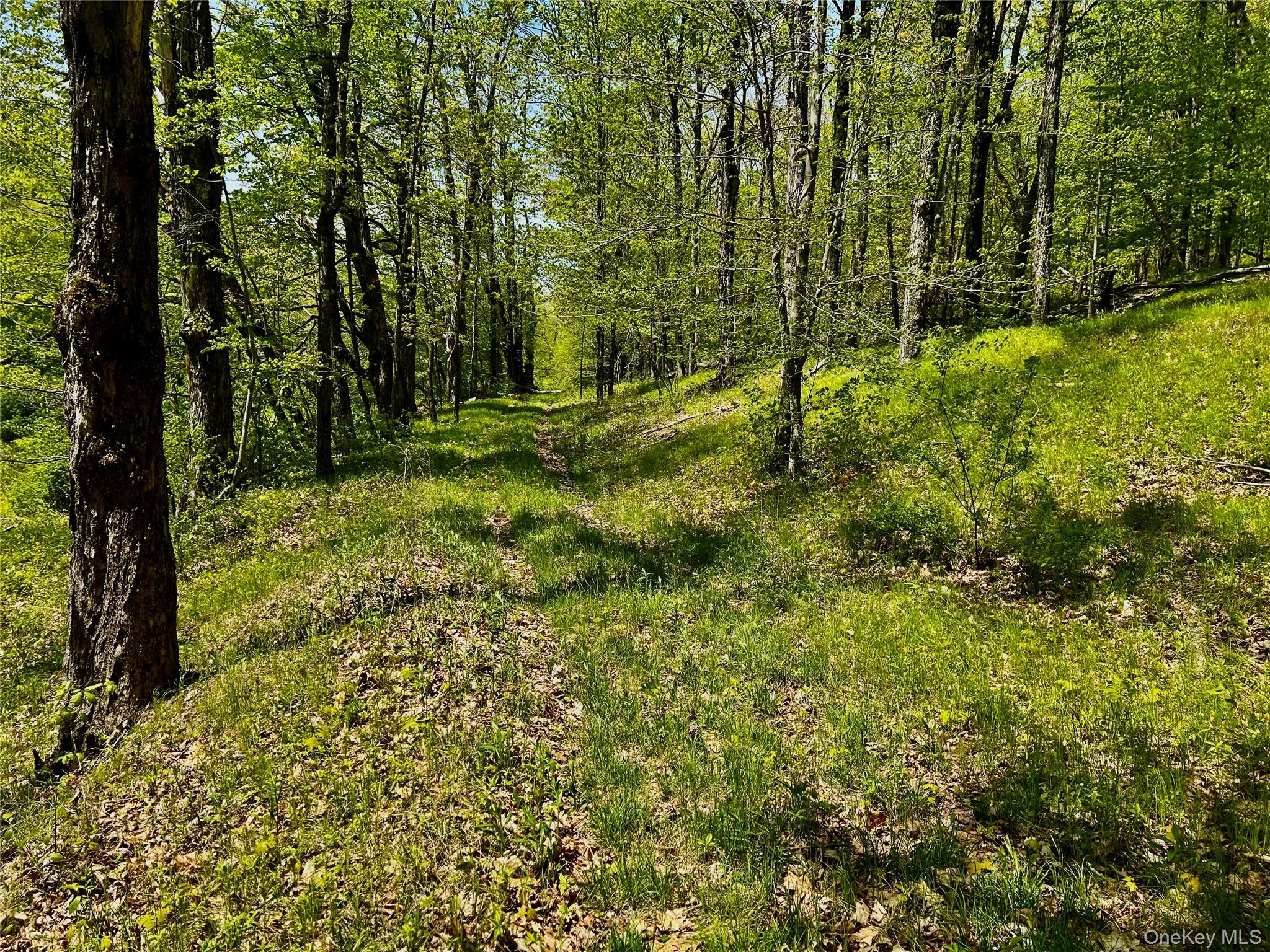 00 Dugway Out of NYC Austerlitz, NY 12017