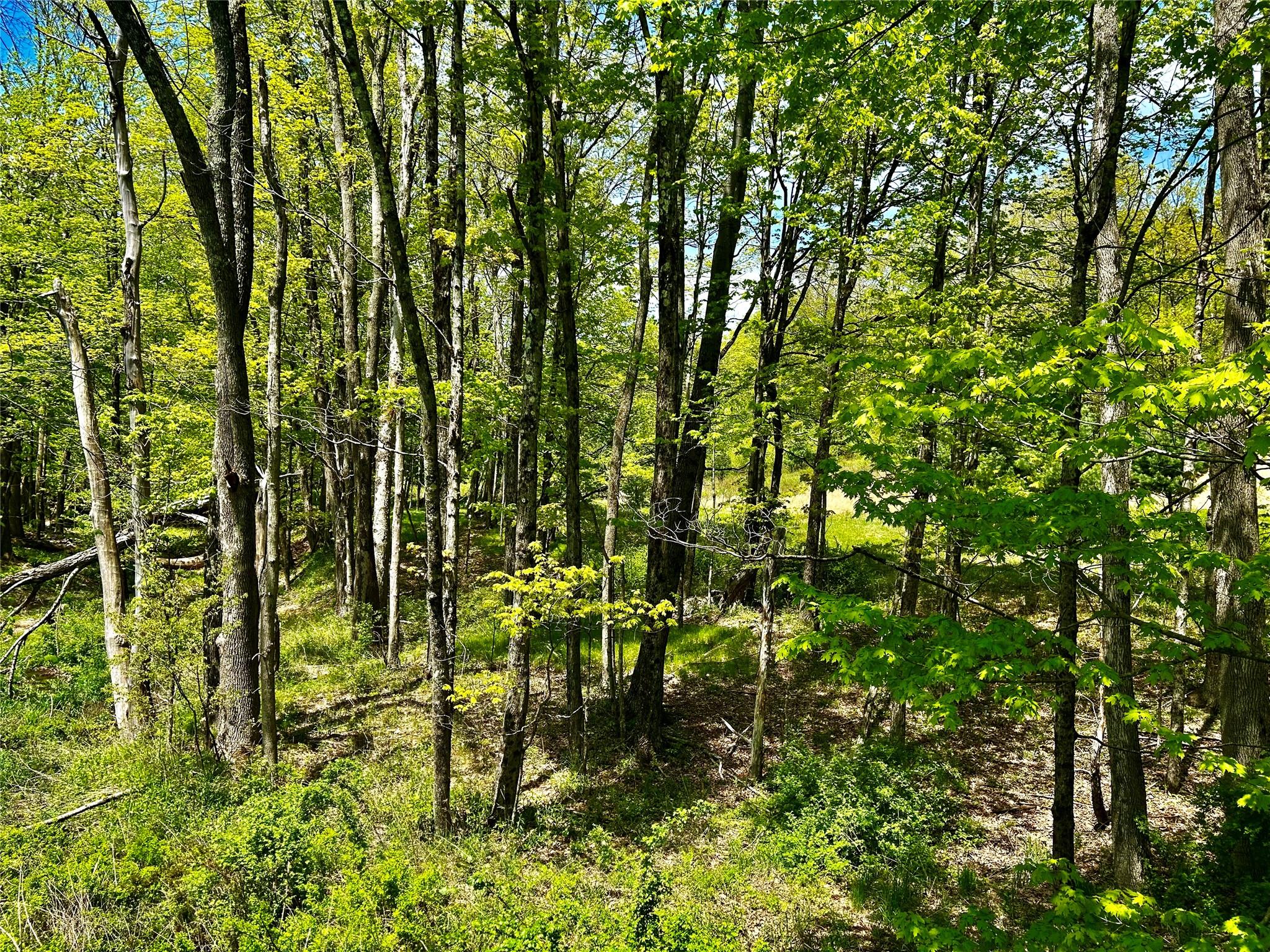 4 West Hill Road Out of NYC Austerlitz, NY 00000