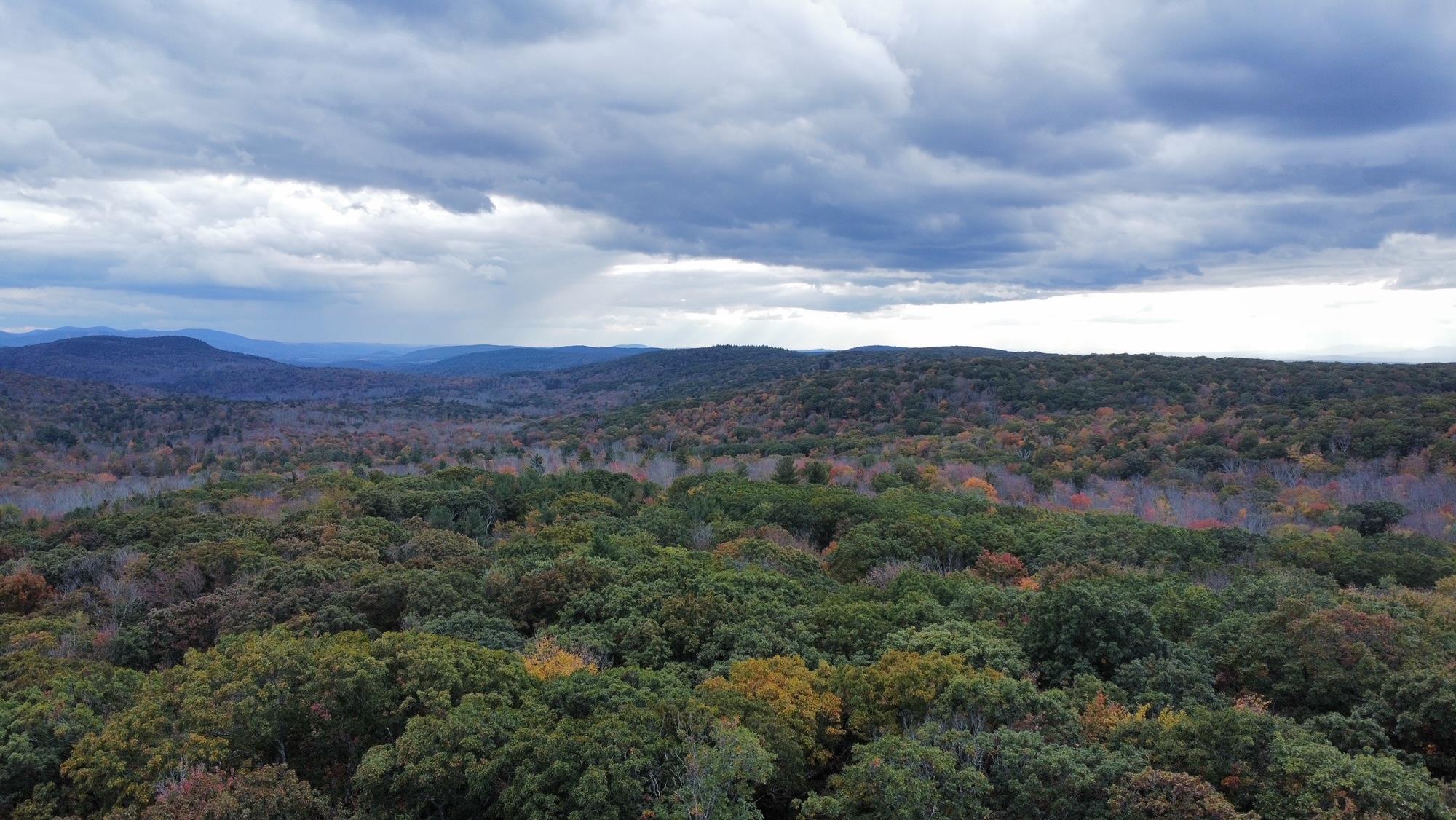 4 West Hill Road Out of NYC Austerlitz, NY 00000