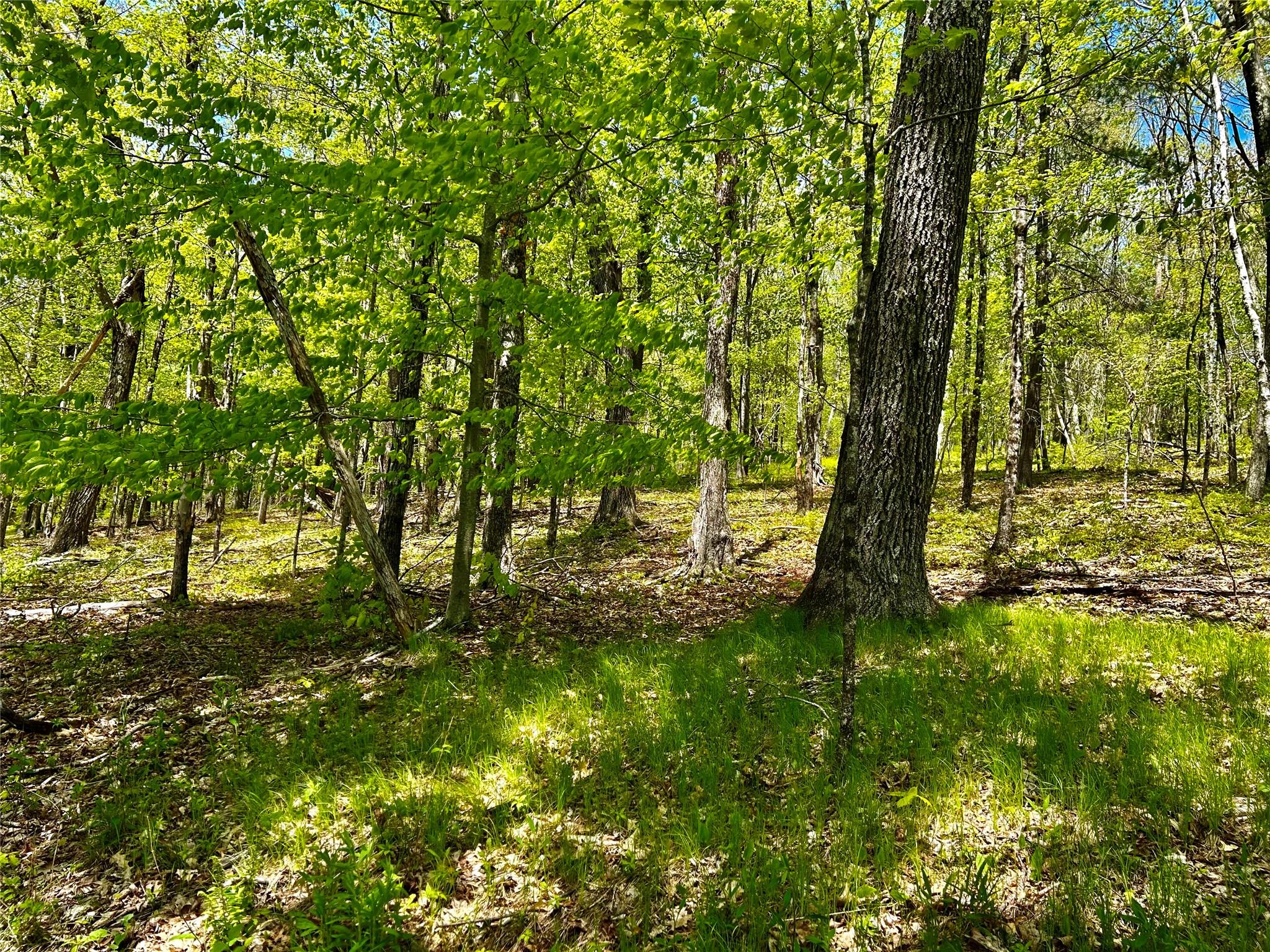 4 West Hill Road Out of NYC Austerlitz, NY 00000