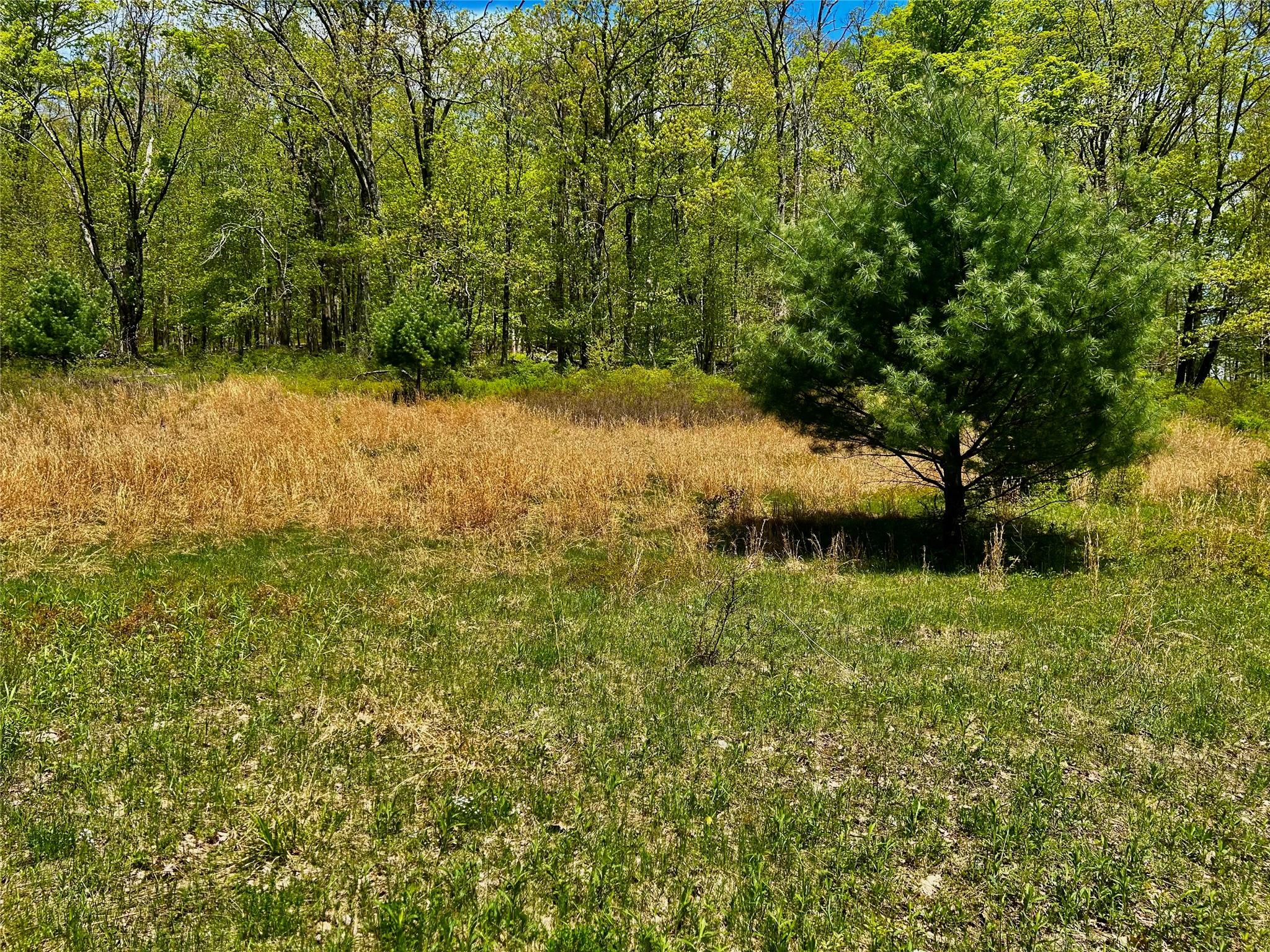 4 West Hill Road Out of NYC Austerlitz, NY 00000