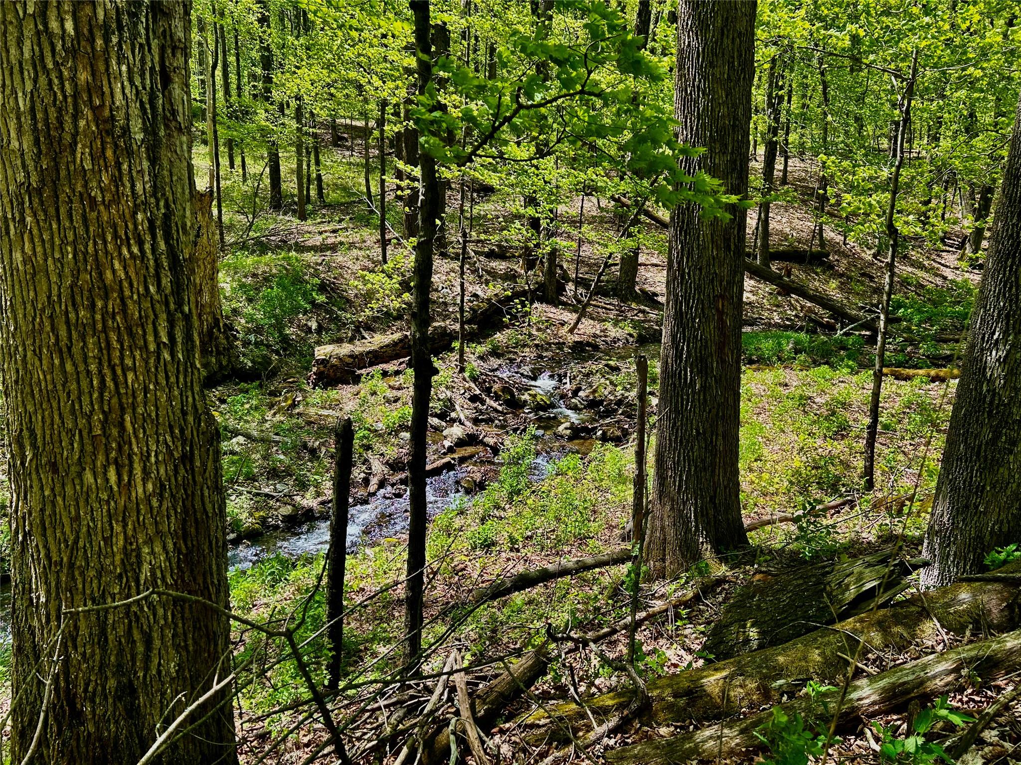 4 West Hill Road Out of NYC Austerlitz, NY 00000