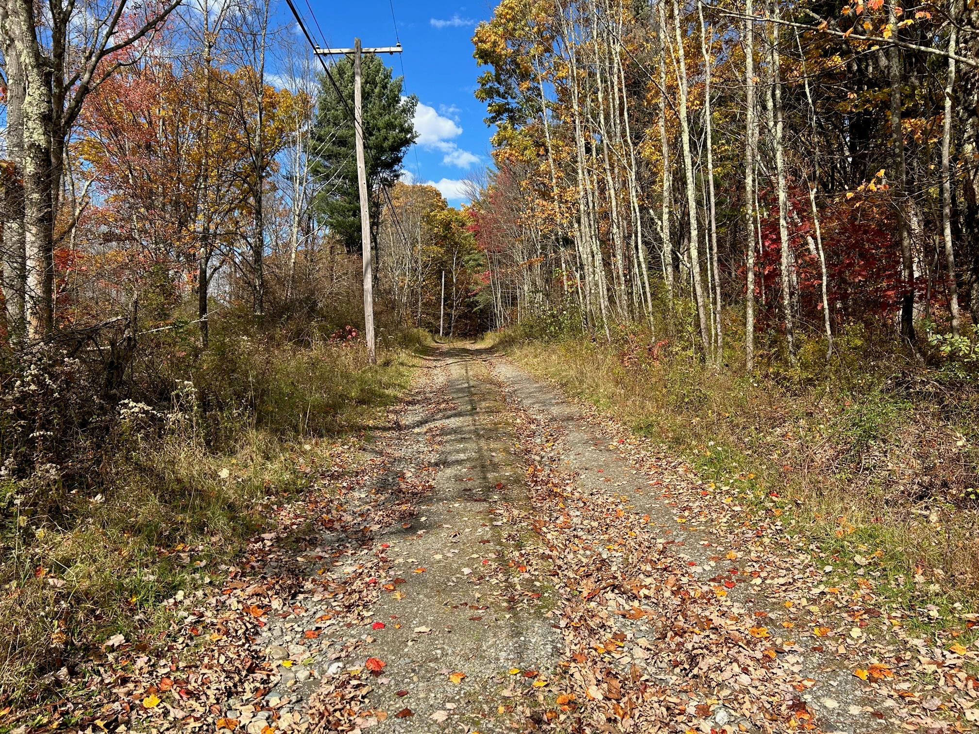 4 West Hill Road Out of NYC Austerlitz, NY 00000