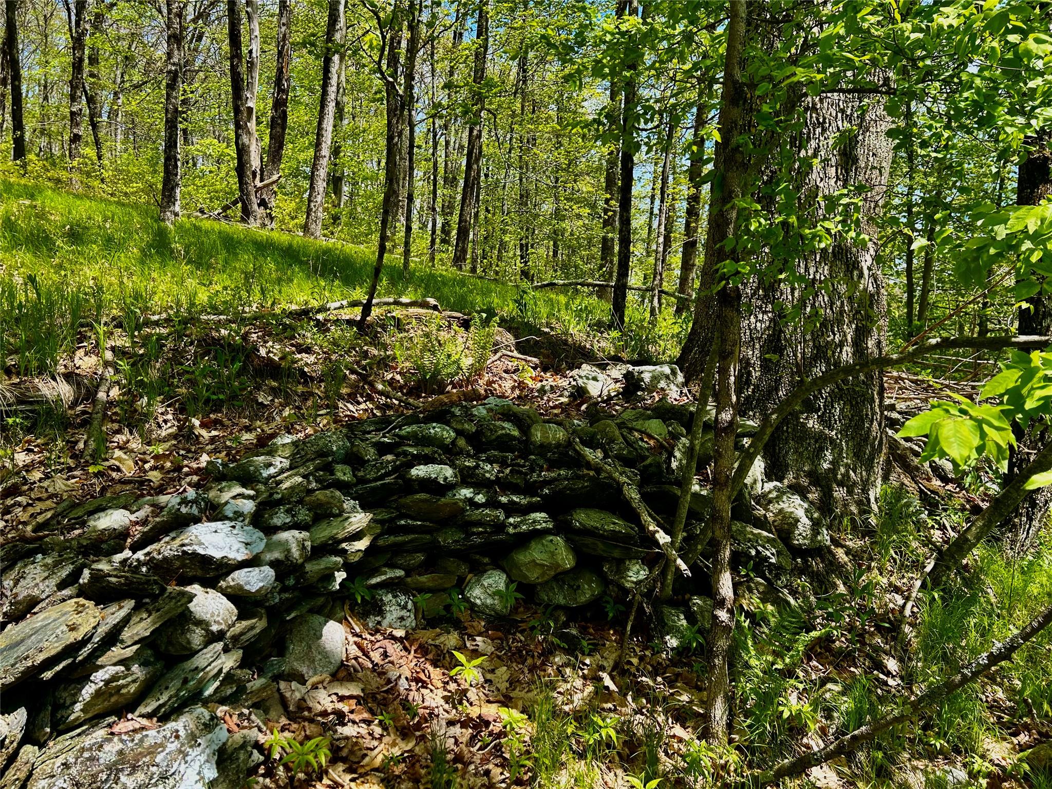 4 West Hill Road Out of NYC Austerlitz, NY 00000