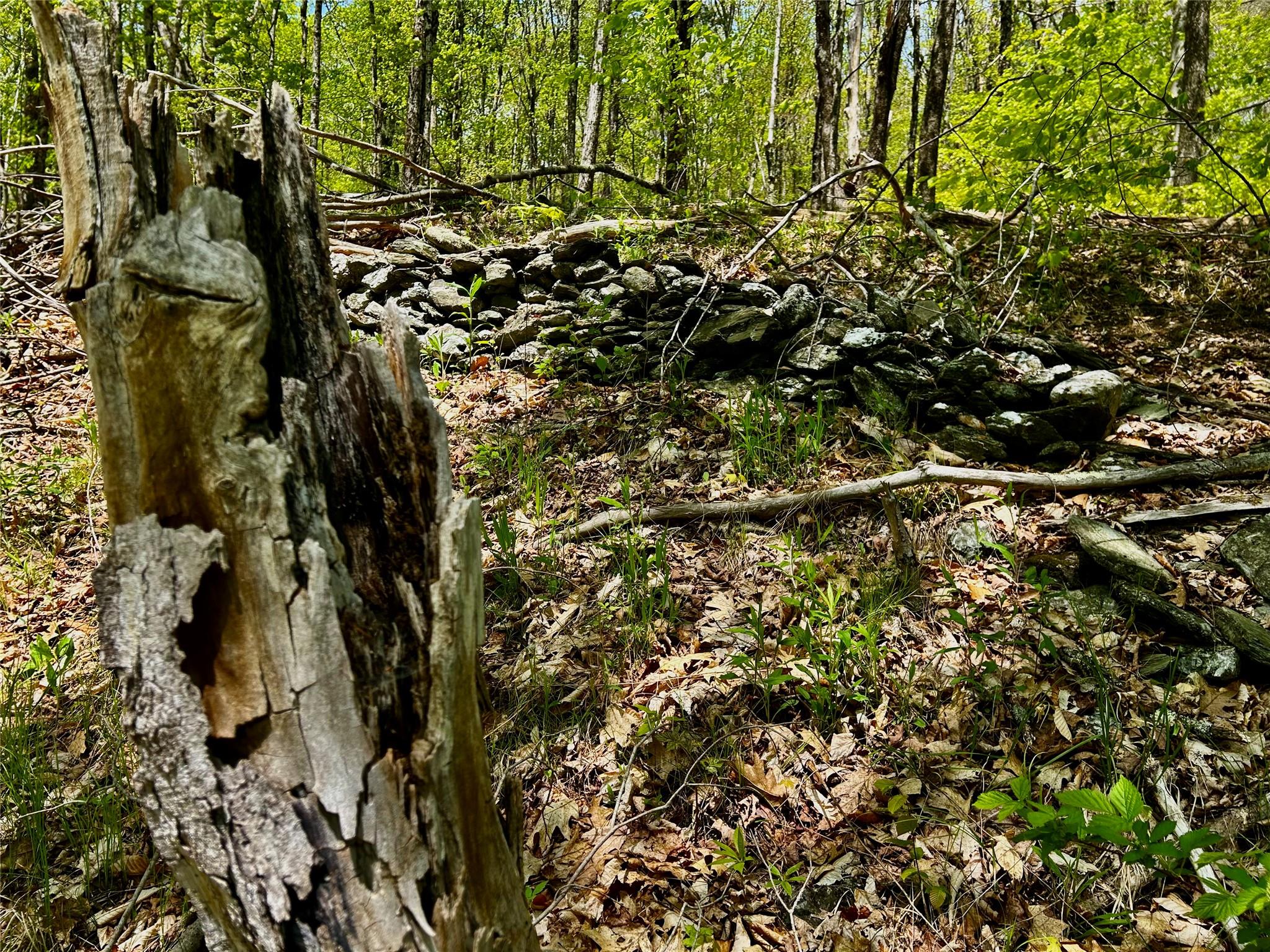 4 West Hill Road Out of NYC Austerlitz, NY 00000