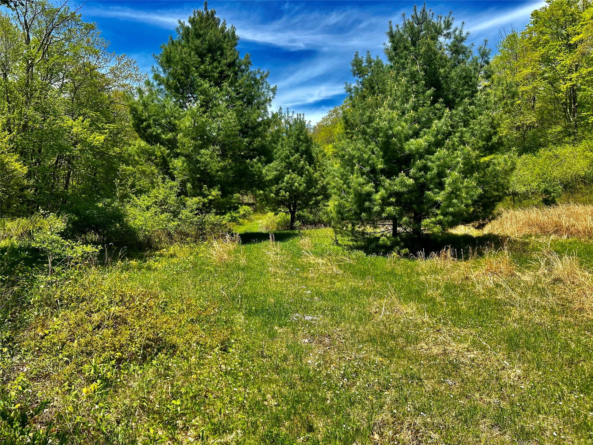 4 West Hill Road Out of NYC Austerlitz, NY 00000