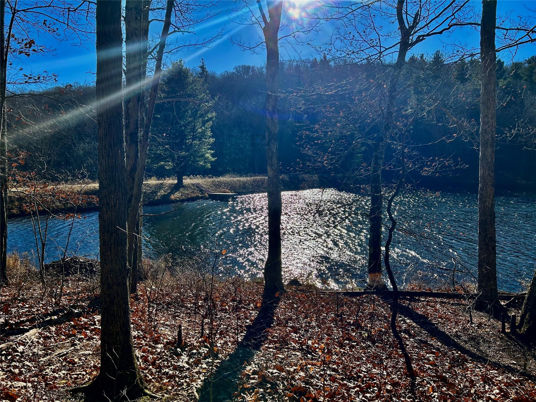 4 West Hill Road Out of NYC Austerlitz, NY 00000