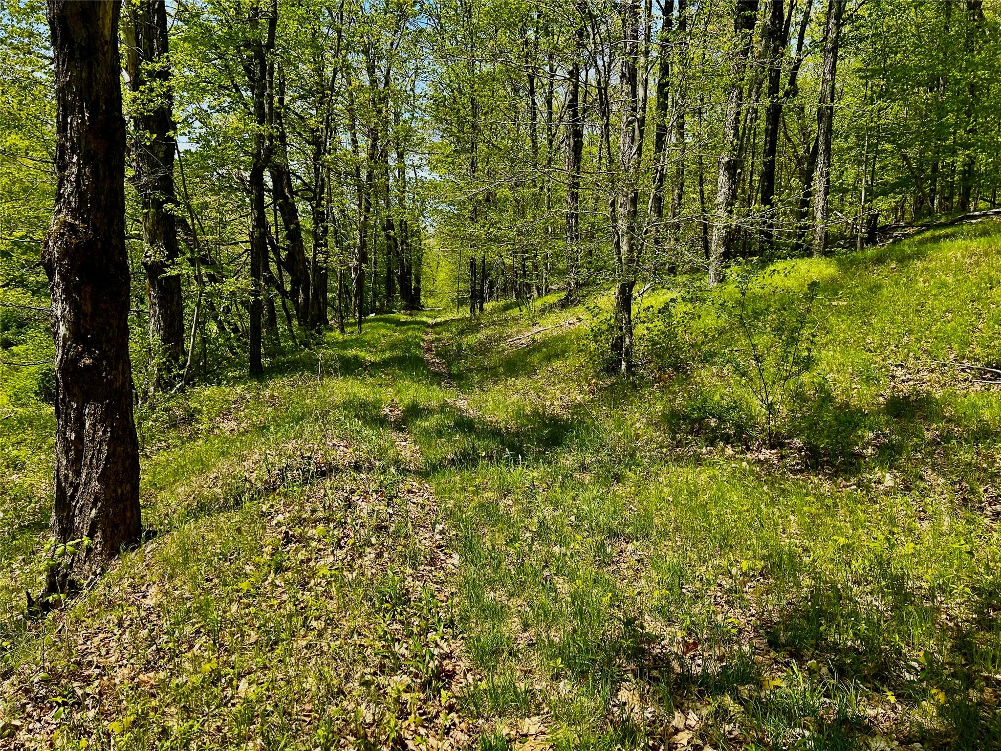 4 West Hill Road Out of NYC Austerlitz, NY 00000