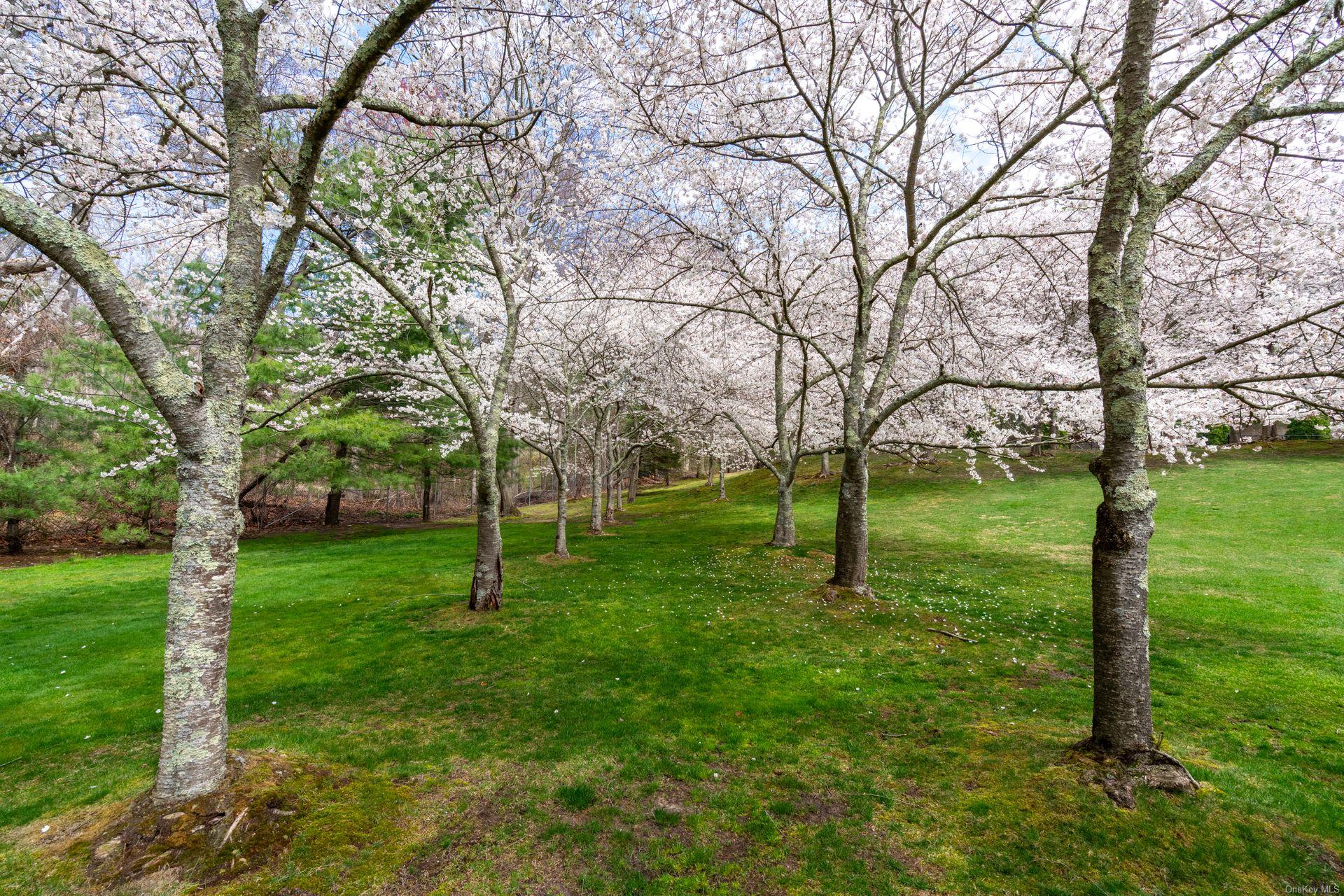 660 Chicken Valley Road Matinecock Matinecock, NY 11560