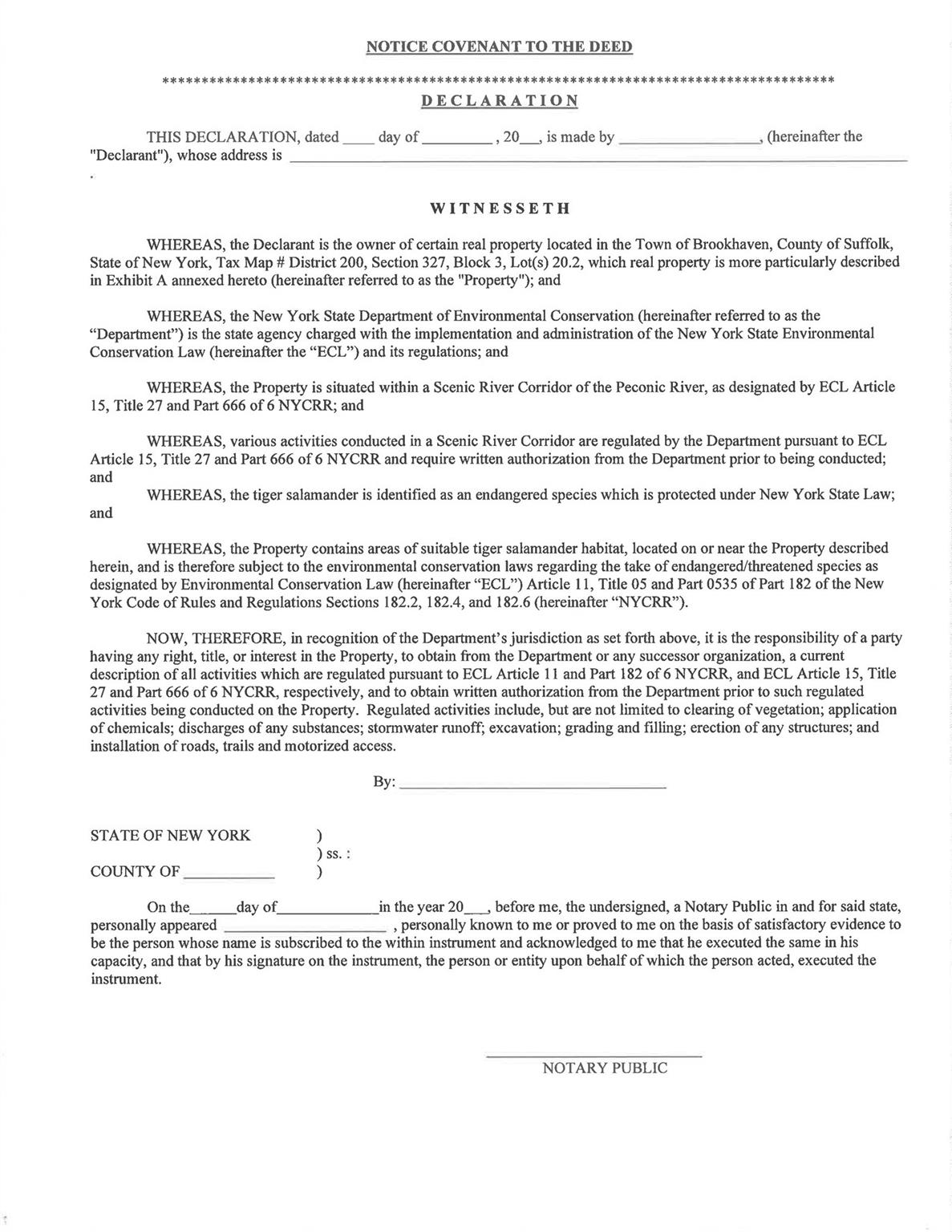 Elizabeth Way Ridge Ridge NY 11961