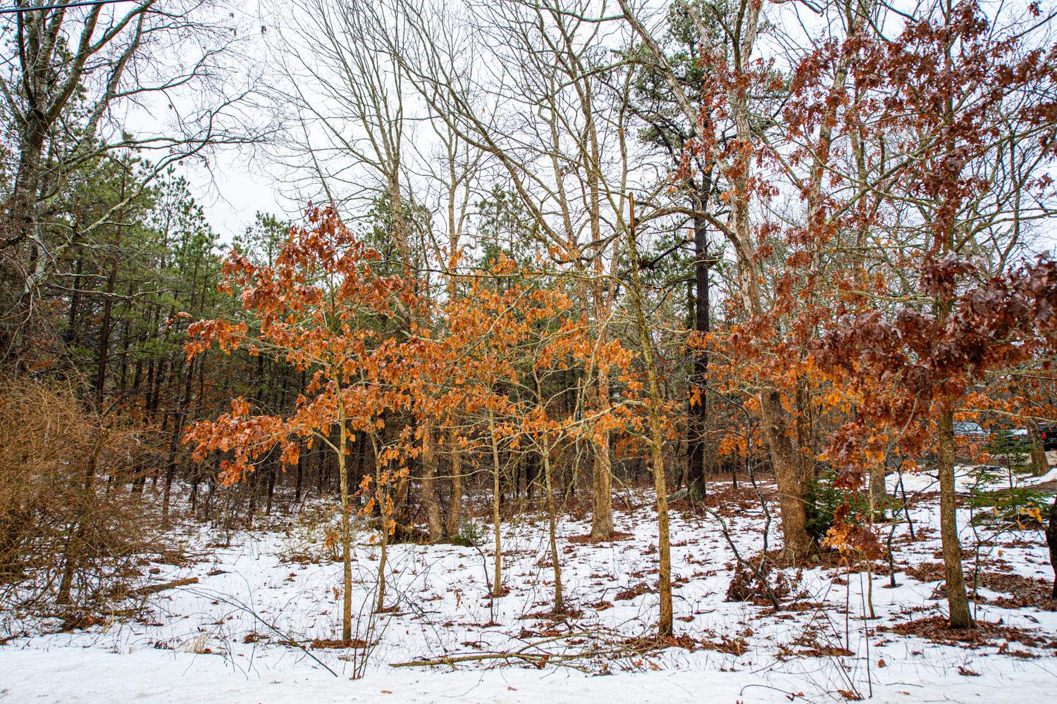 Elizabeth Way Ridge Ridge NY 11961