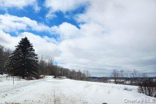 354 East Hill Road Out of NYC Jeffersonville, NY 12748