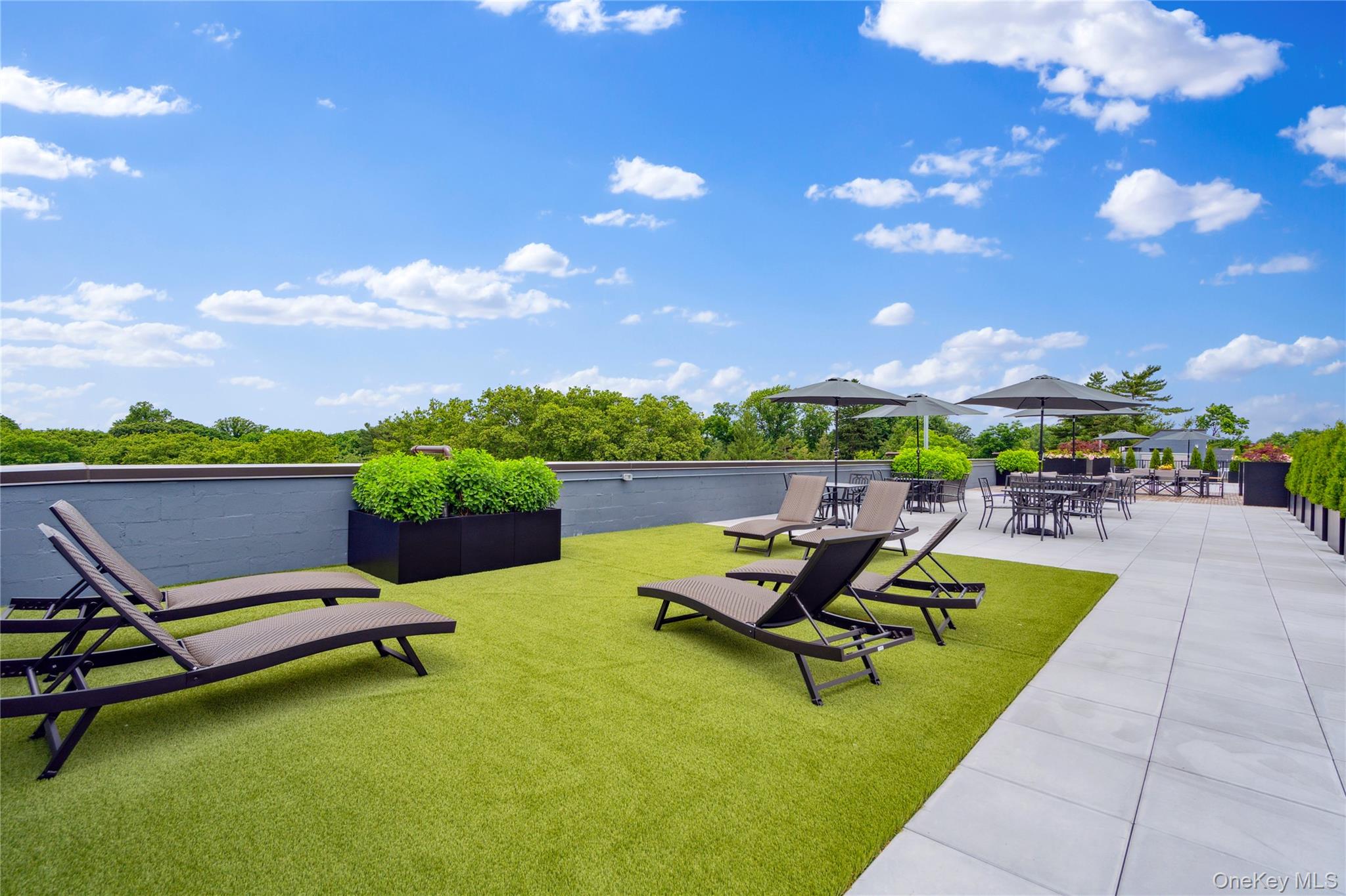 218 Middle Neck Road 302 Great Neck Great Neck NY 11021