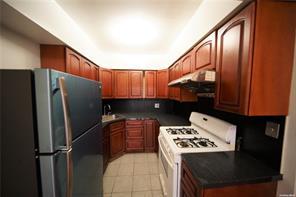 132-56 60th Avenue Flushing Flushing, NY 11355
