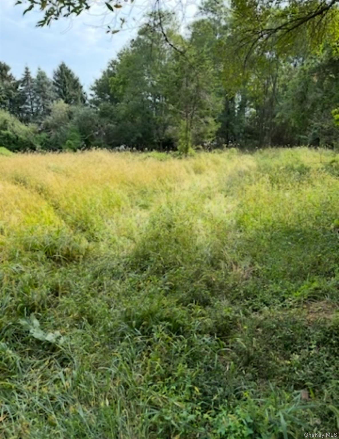 1350 Hortons Lane Southold Southold, NY 11971