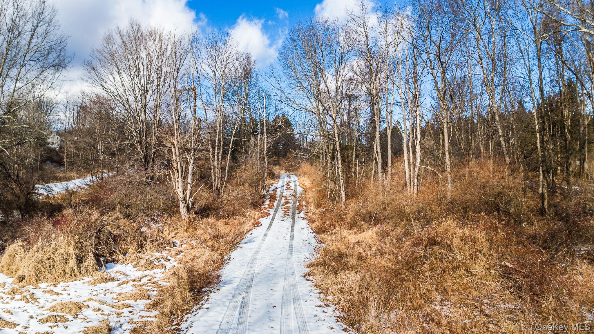 64 Seaman Road Out of NYC Middletown, NY 10941