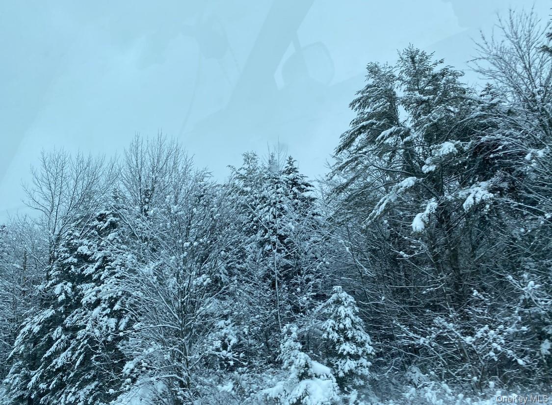 64 Seaman Road Out of NYC Middletown, NY 10941