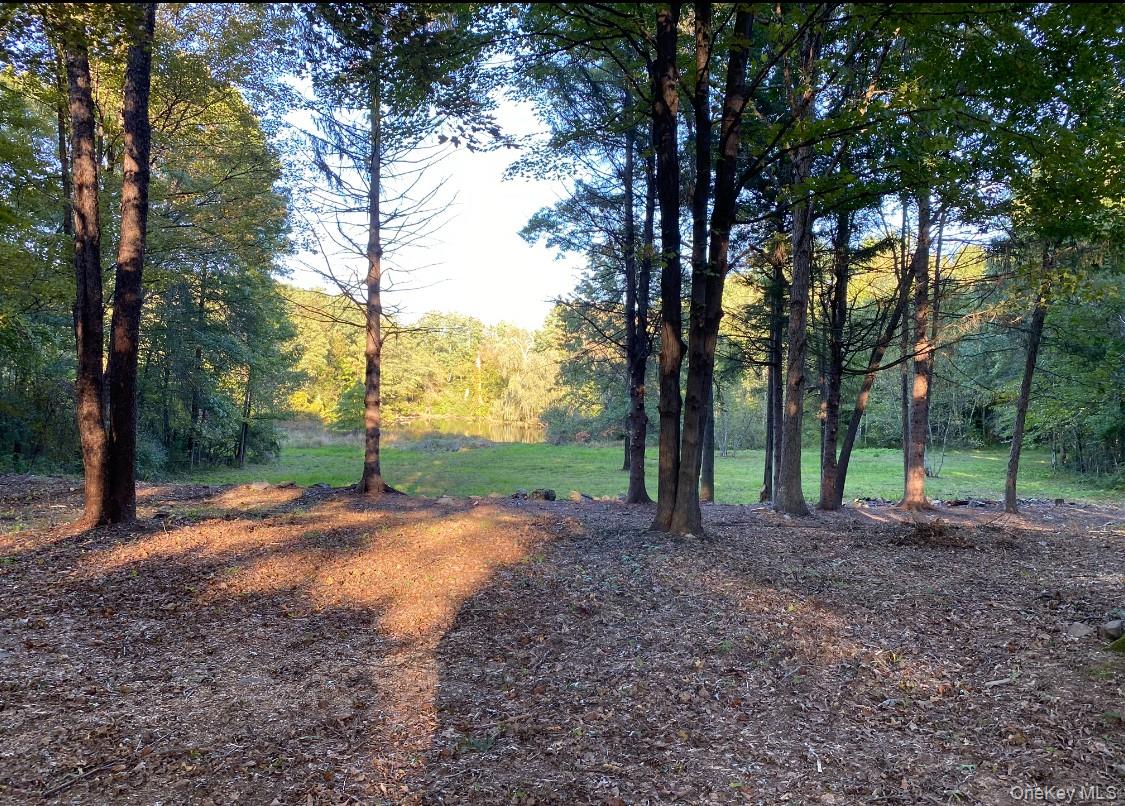 64 Seaman Road Out of NYC Middletown, NY 10941