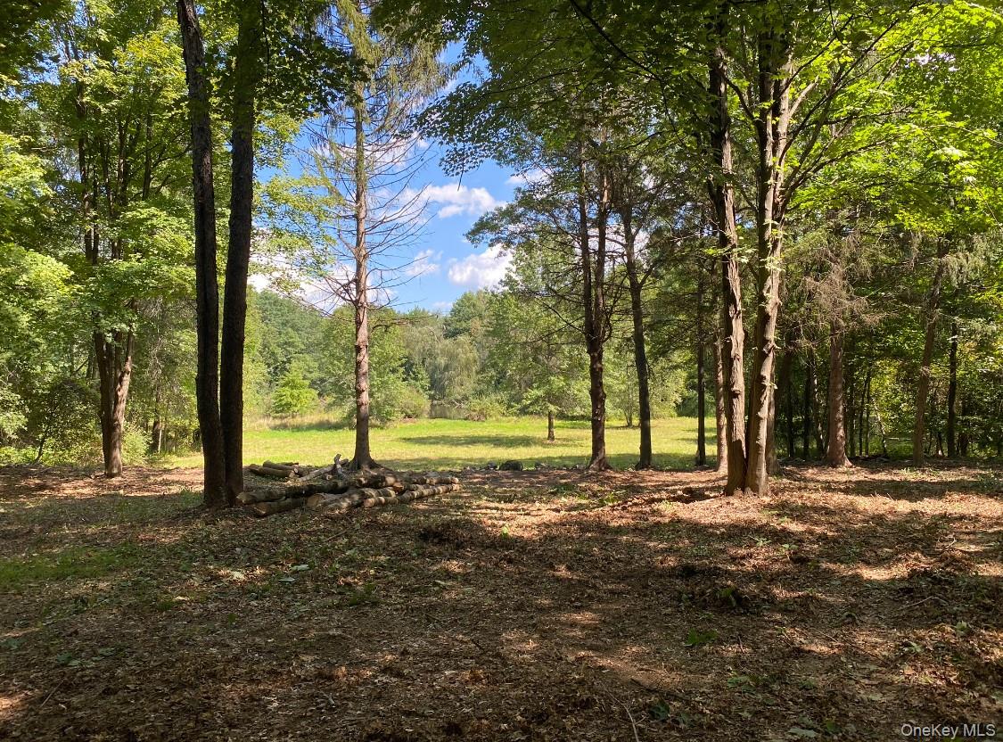 64 Seaman Road Out of NYC Middletown, NY 10941