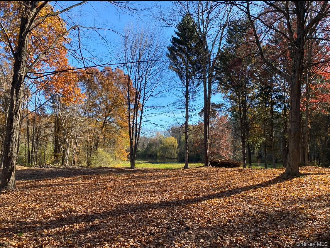 64 Seaman Road Out of NYC Middletown, NY 10941