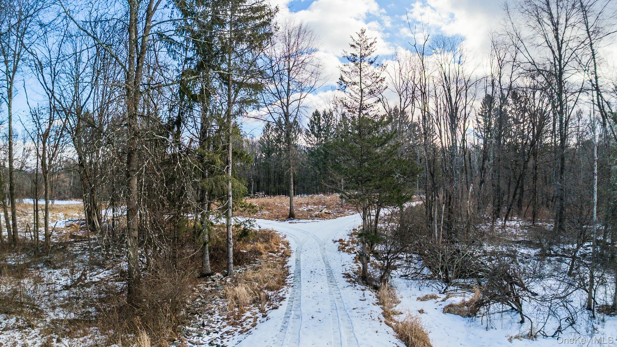 64 Seaman Road Out of NYC Middletown, NY 10941