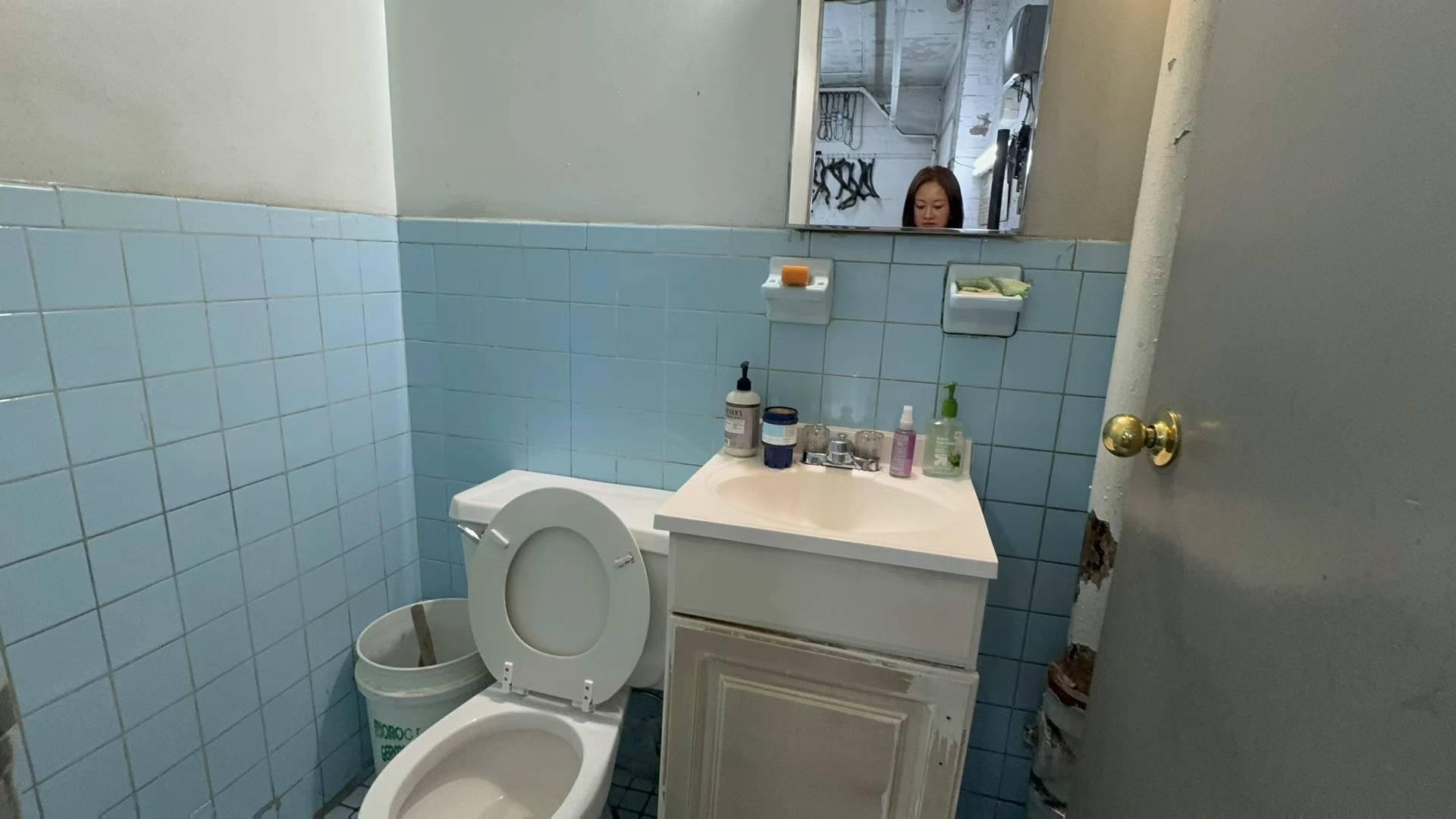 49-04 25th Avenue Woodside Woodside, NY 11377