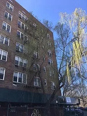 86-16 60TH avenue 6-H Elmhurst Elmhurst, NY 11373