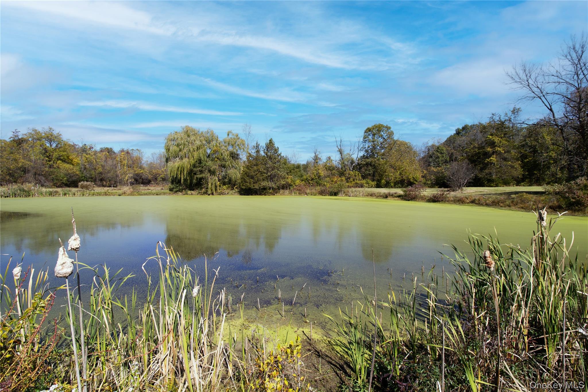 4108 State Route 9G Out of NYC Germantown, NY 12526