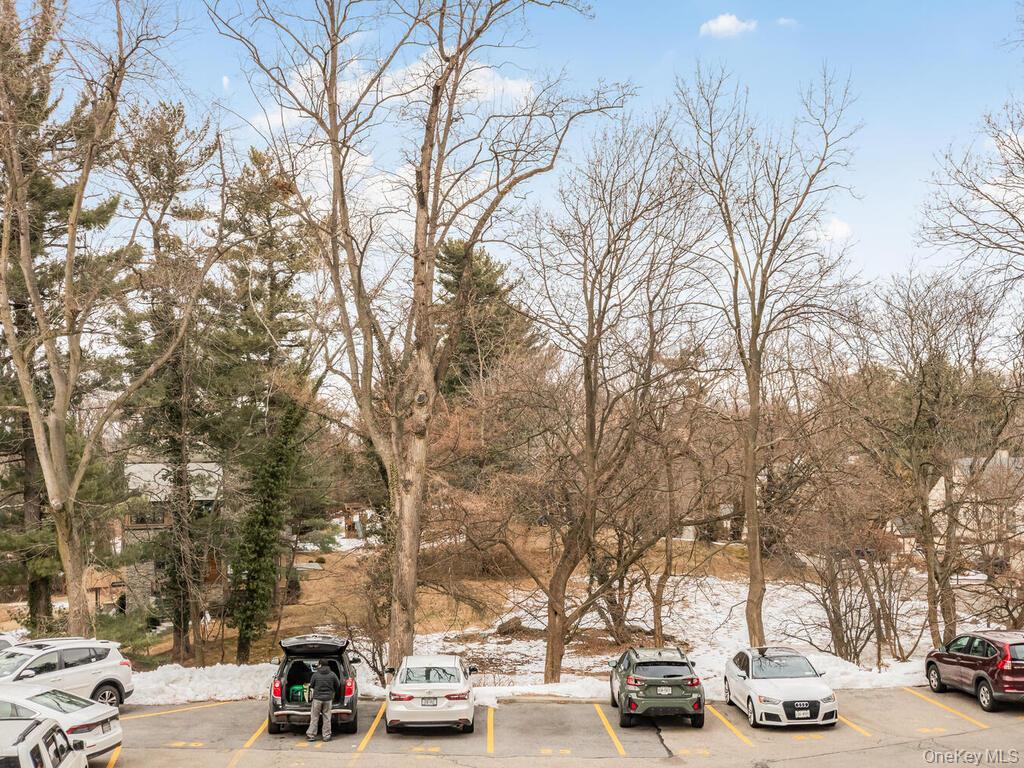 679 West 239th Street 1-C Bronx, NY 10463