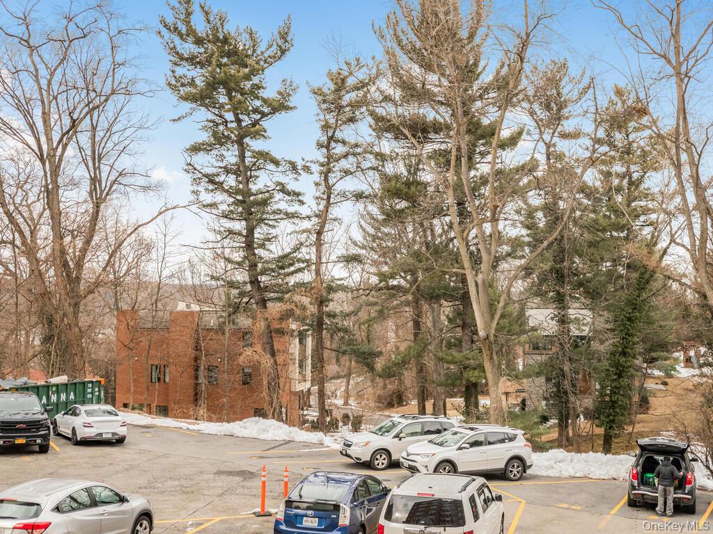 679 West 239th Street 1-C Bronx, NY 10463