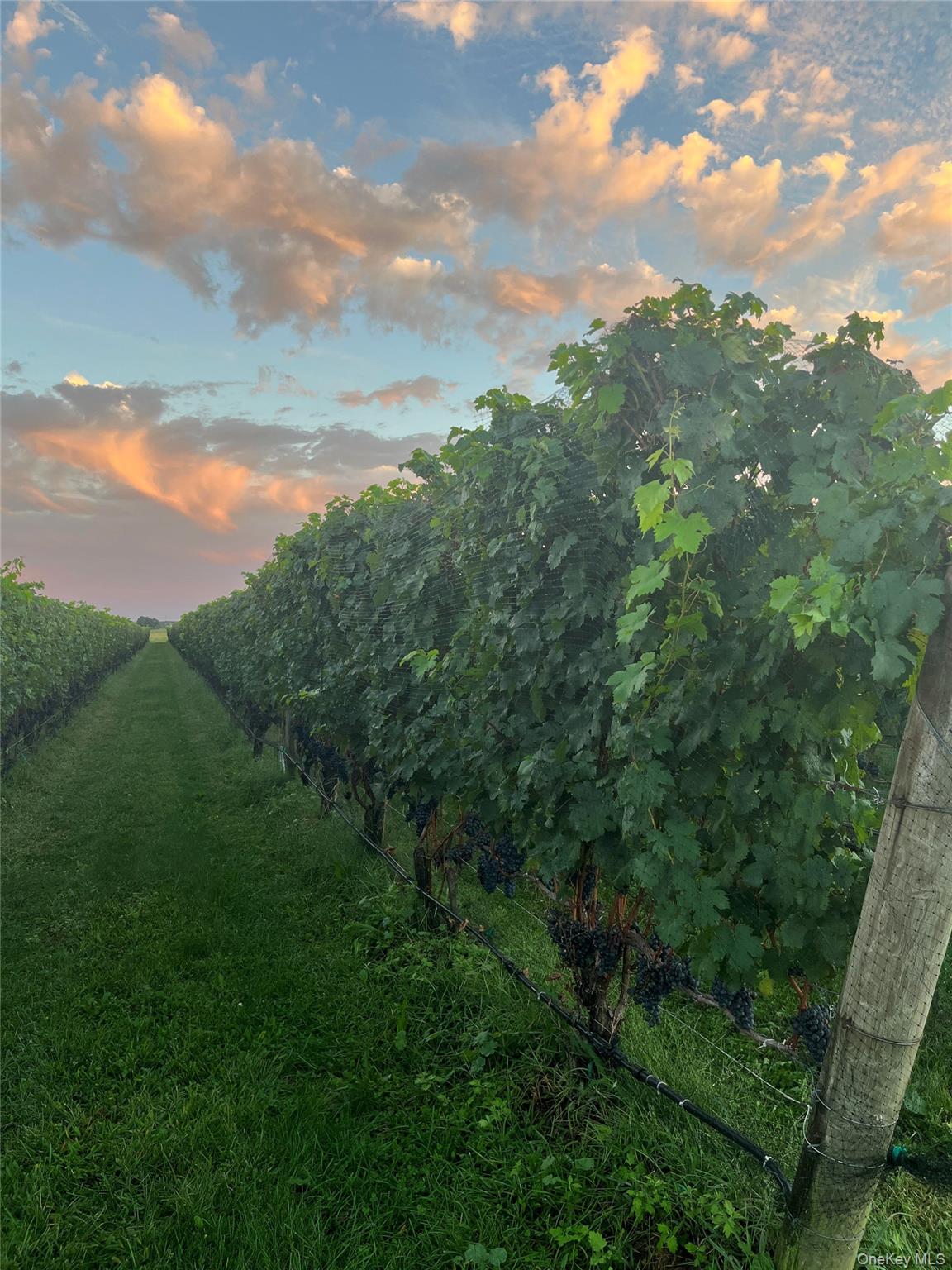 6094 Sound Avenue Jamesport Jamesport, NY 11947