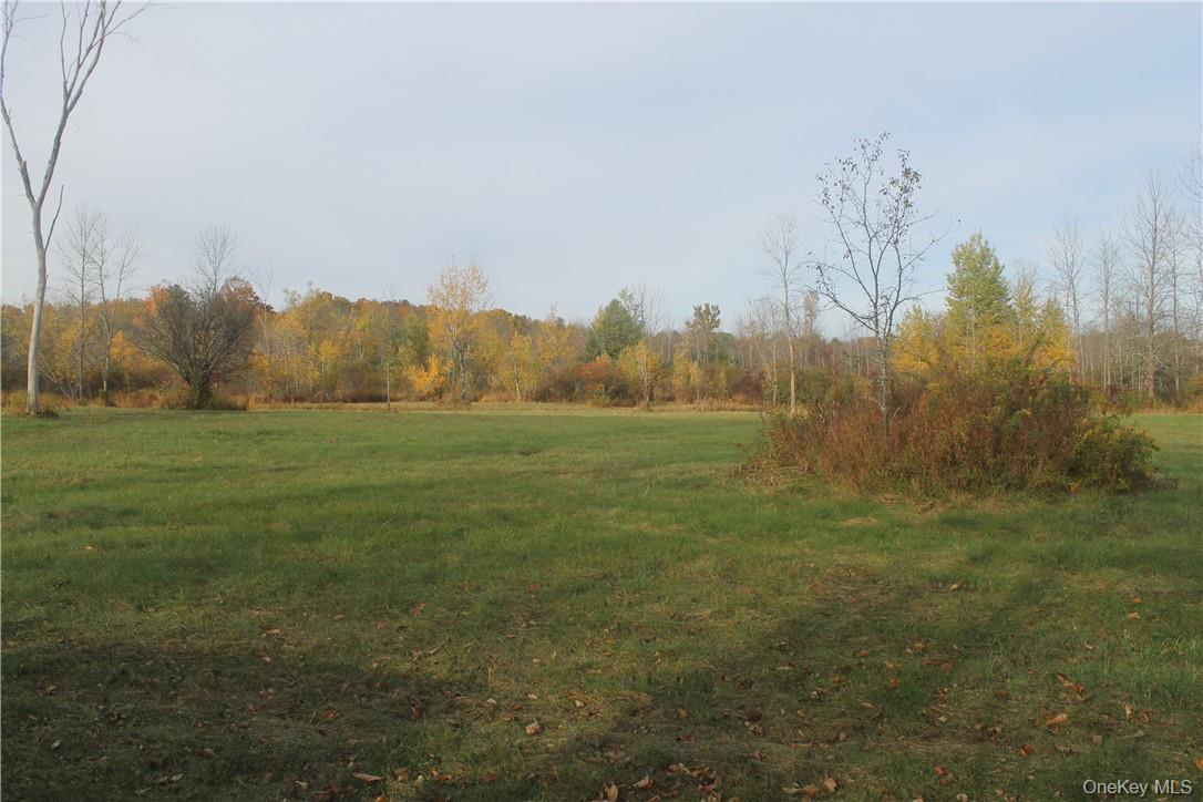 Newry Road Out of NYC Greenville, NY 12083