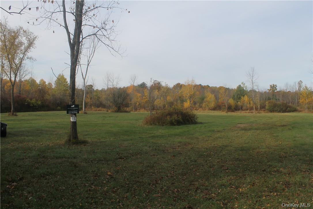 Newry Road Out of NYC Greenville, NY 12083