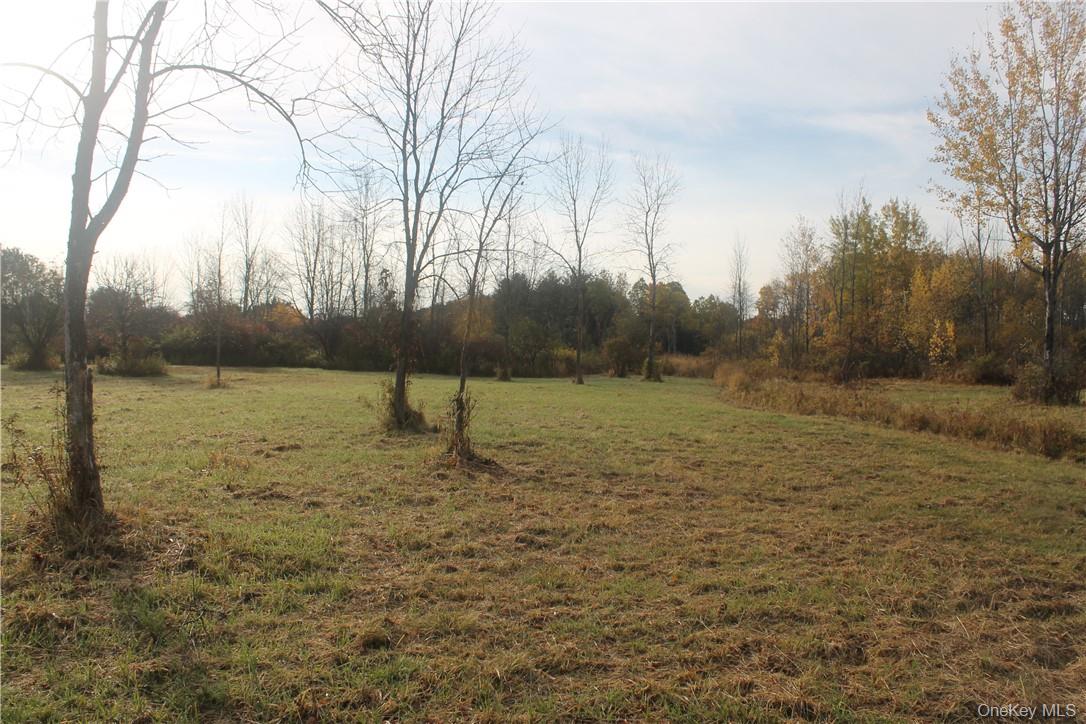 Newry Road Out of NYC Greenville, NY 12083