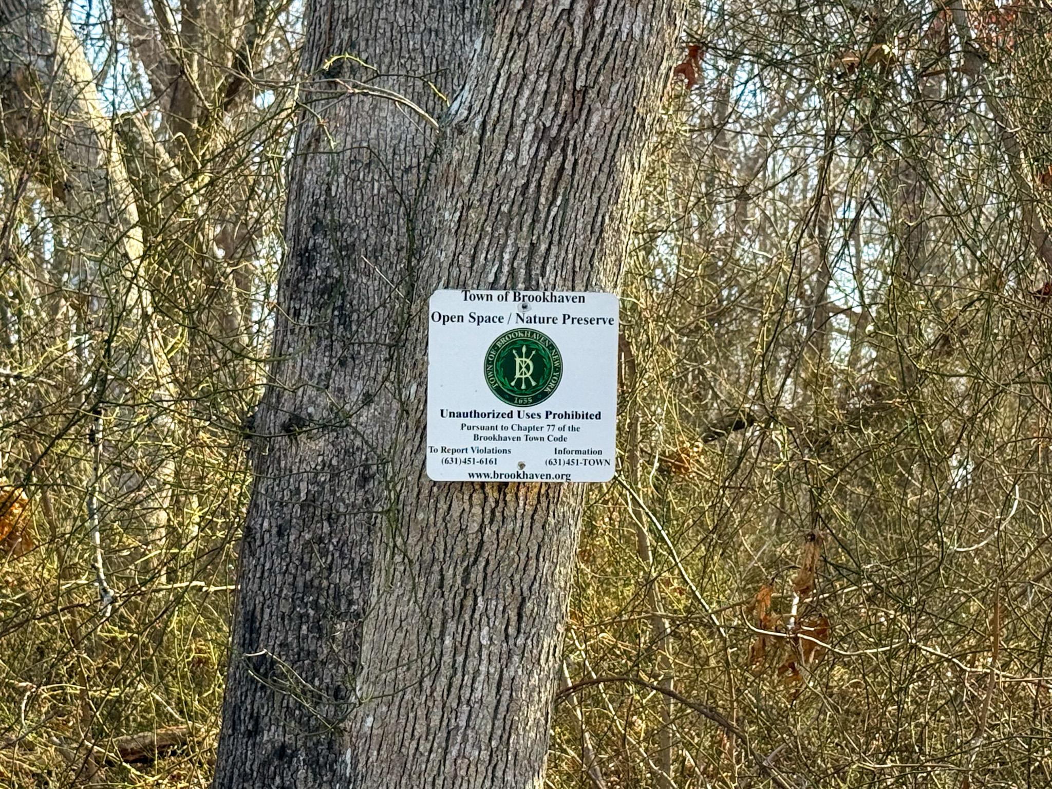 181 William Floyd Parkway Shirley Shirley, NY 11967