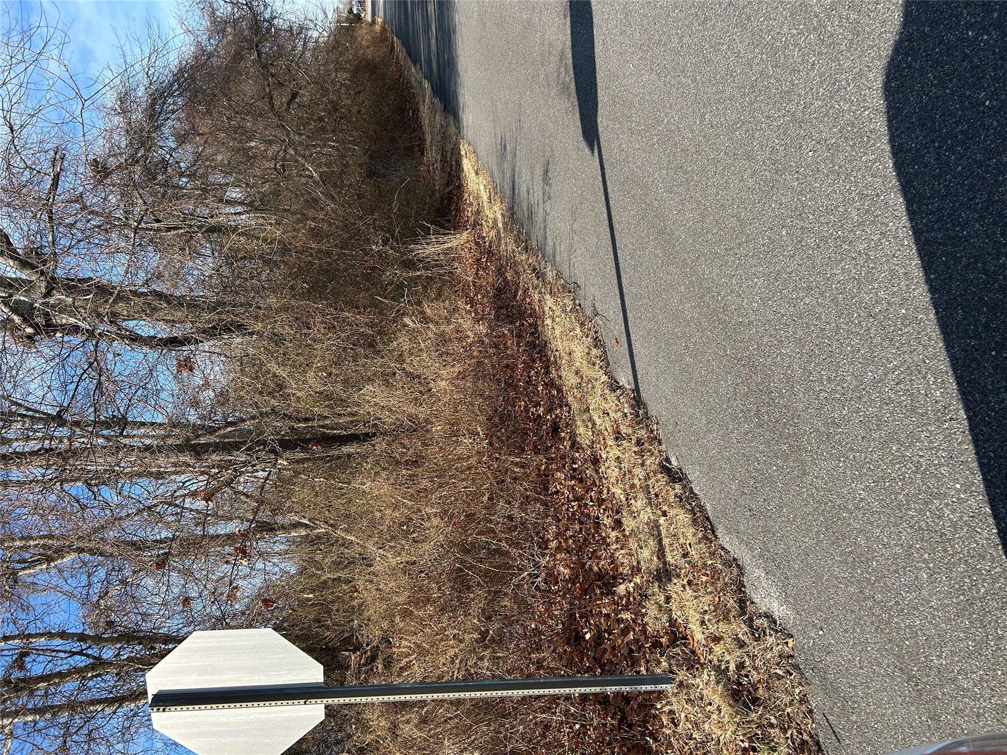 Abby Lane Shirley Shirley, NY 11967