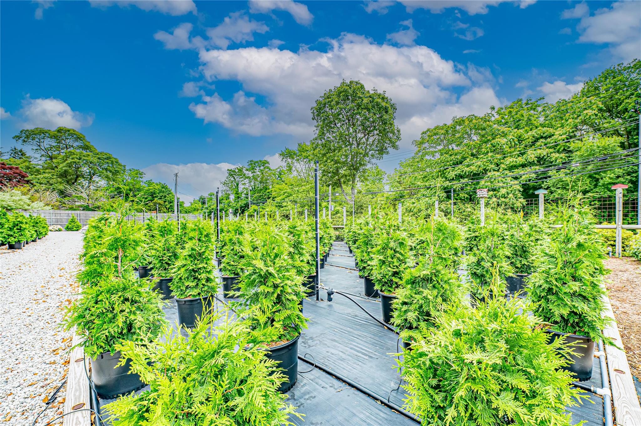 185-191 N Country Road Mount Sinai, NY 11766