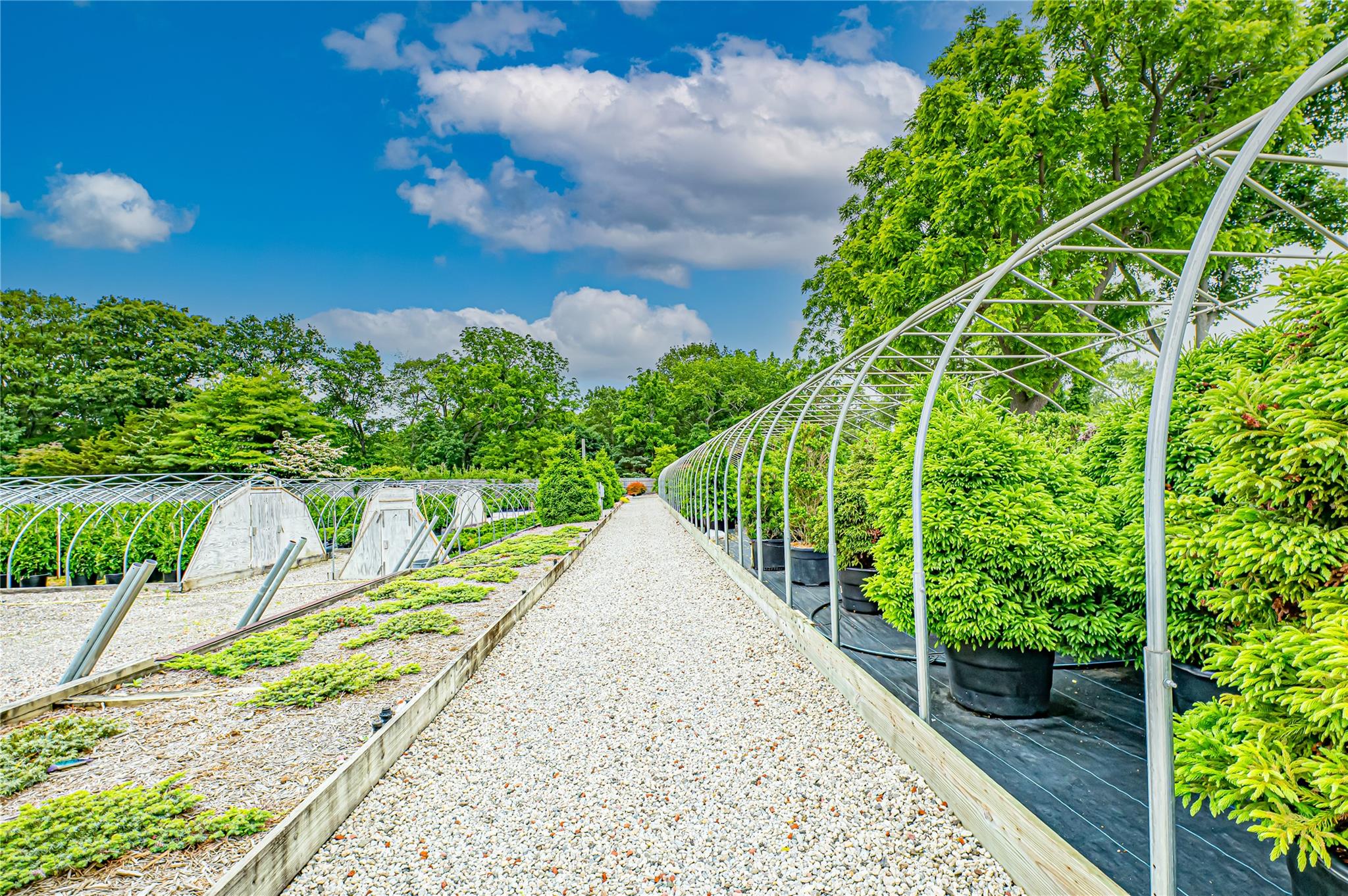 185-191 N Country Road Mount Sinai, NY 11766