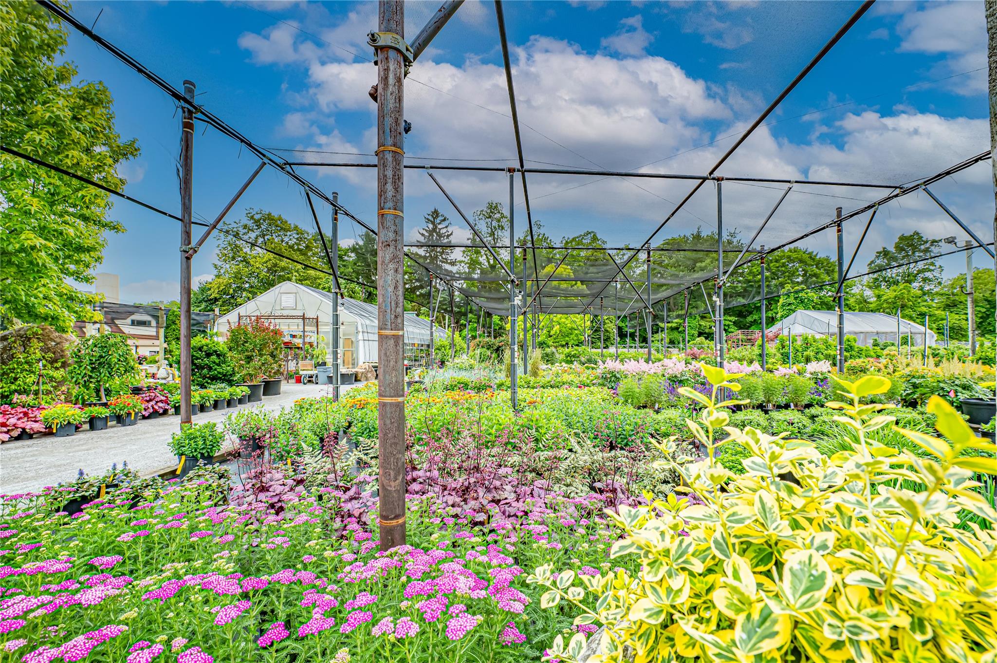 185-191 N Country Road Mount Sinai, NY 11766