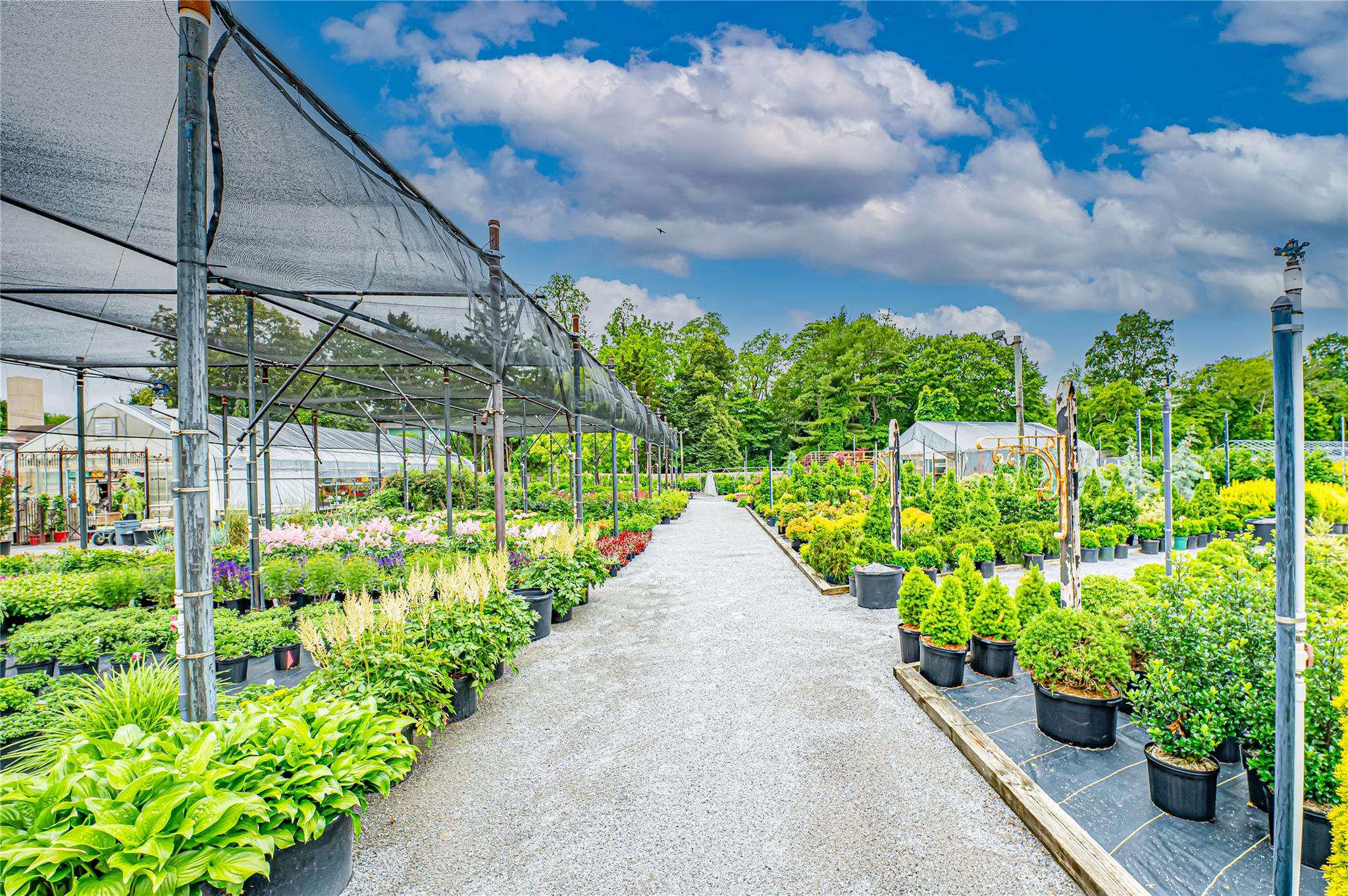 185-191 N Country Road Mount Sinai, NY 11766